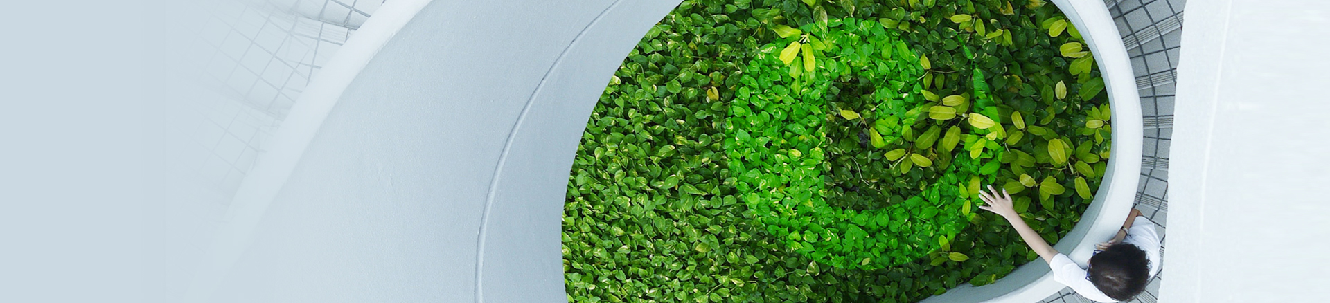 韦德online（中国）